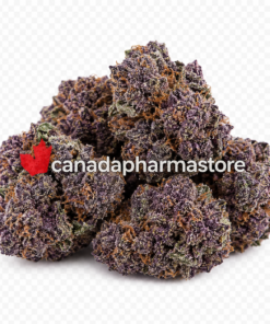 Granddaddy Purple 3.5g premium indica cannabis flower with frosty purple buds online weed delivery in canada and usa