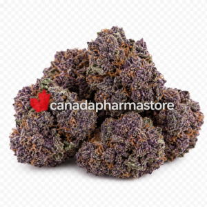 Granddaddy Purple 3.5g premium indica cannabis flower with frosty purple buds