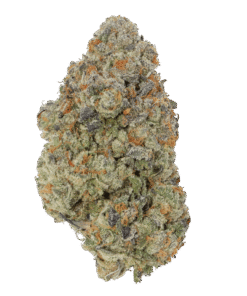 Animal Face 3.5g premium hybrid cannabis flower with dense frosty buds