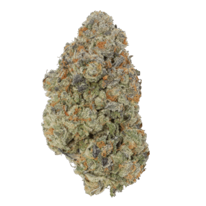 Animal Face 3.5g premium hybrid cannabis flower with dense frosty buds