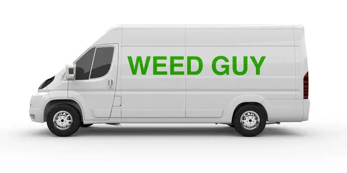 weed delivery online in canada within 24 hours. at canadapharmastore.ca 
elivery all canada 